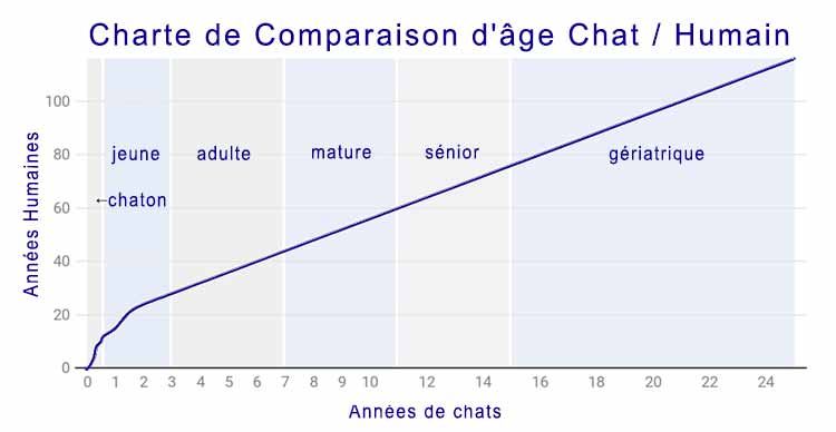 graphique de comparaison entre années de chats à humain